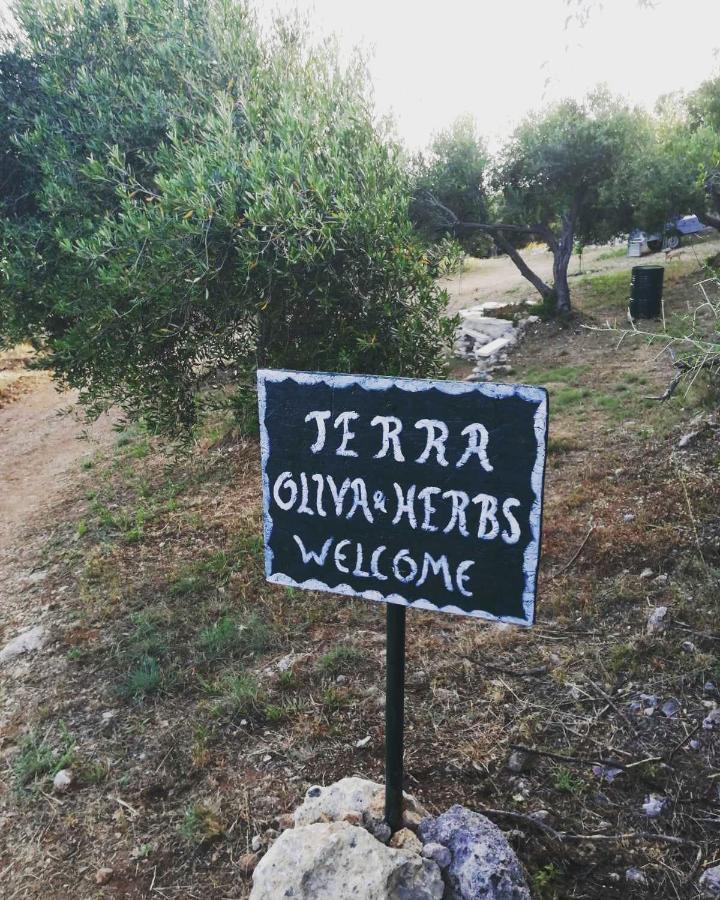 Terraoliva&Herbs Vátos Екстериор снимка